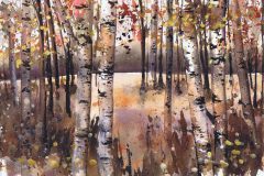 Birch Trees Artist © Janet King