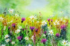Daisies and Thistles Artist © Terry Mower